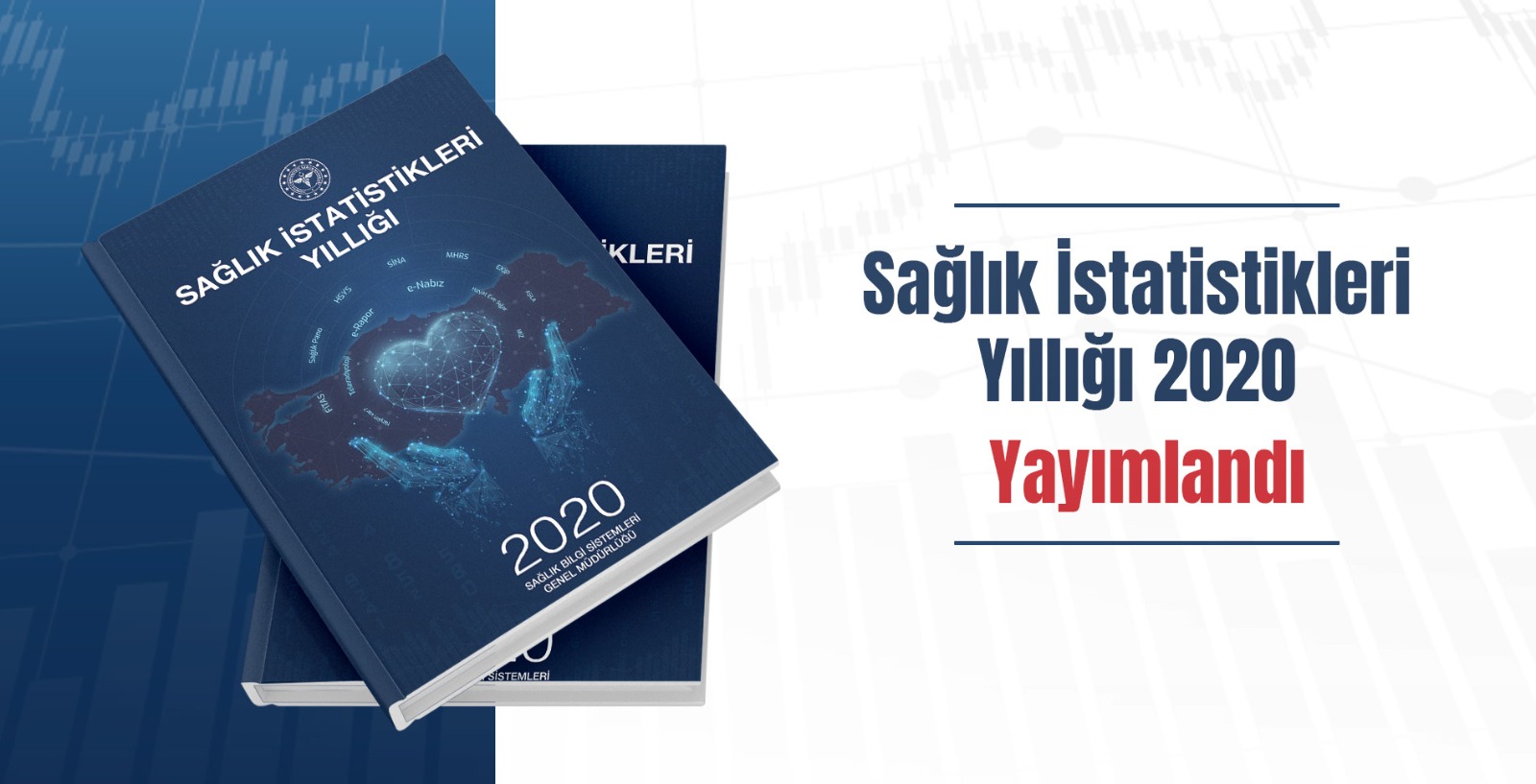 T.C. Sağlık Bakanlığı Sağlık İstatistikleri Yıllığı 2020 Yayımlanmıştır.” , “The Ministry of Health of Türkiye Health Statistics Yearbook 2020 Yayımlanmıştır.